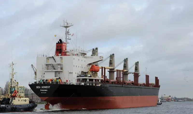 FORZA Bulk Carrier IMO 9142100 photo 9