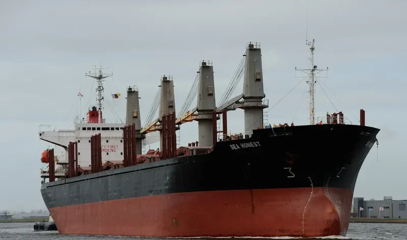 FORZA Bulk Carrier IMO 9142100 photo 10