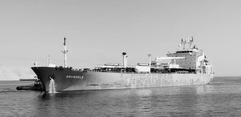 GAS ALLURE General Cargo IMO 9142150 photo 7