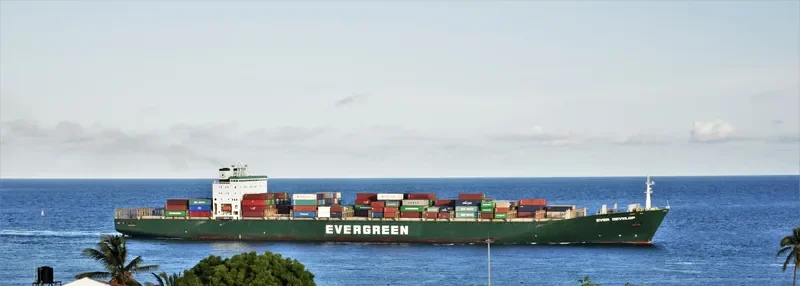 EVER DEVELOP Container Ship IMO 9142174
