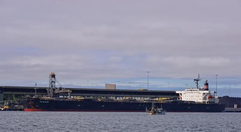 HIBARI Bulk Carrier IMO 9142203