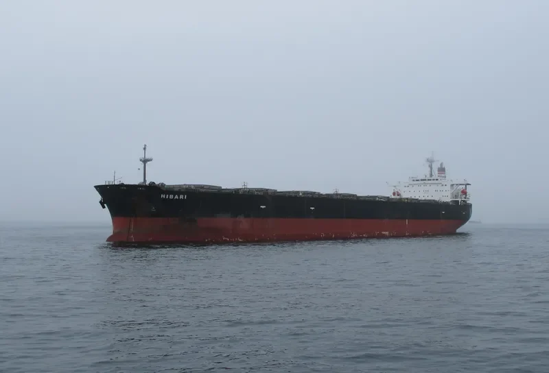 HIBARI Bulk Carrier IMO 9142203 photo 5