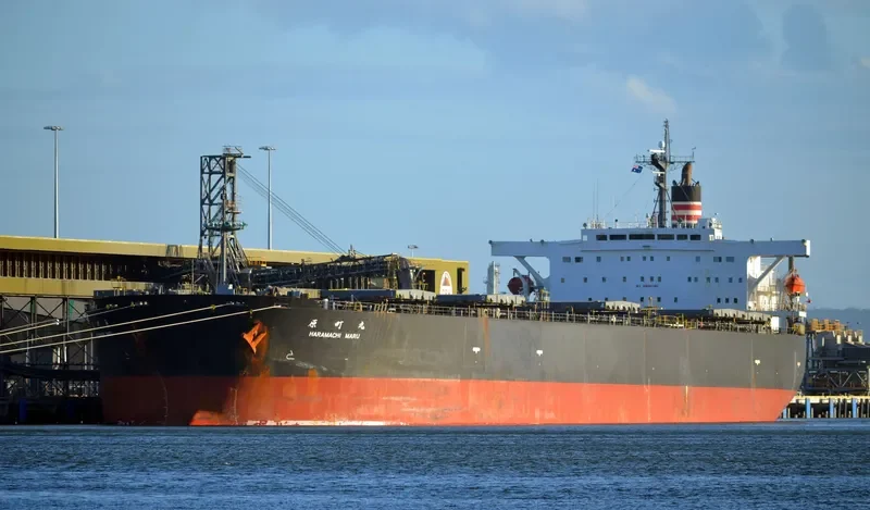 HIBARI Bulk Carrier IMO 9142203 photo 8