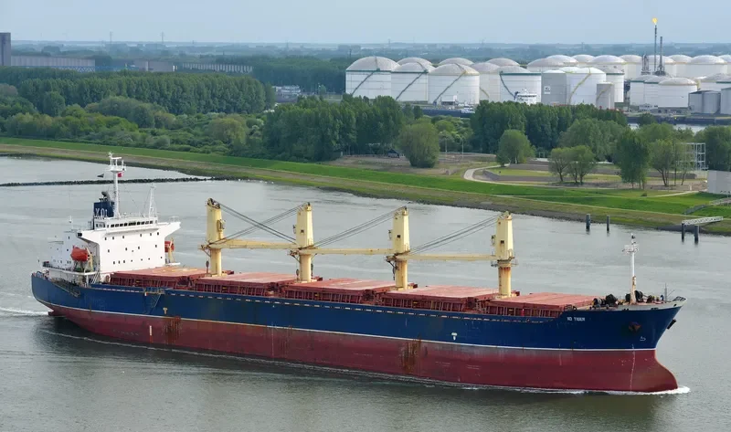 LUCENT Bulk Carrier IMO 9142215