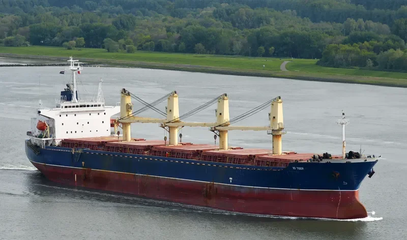 LUCENT Bulk Carrier IMO 9142215 photo 2