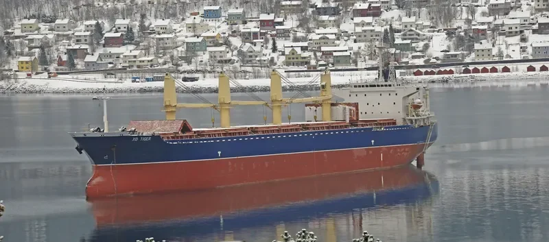 LUCENT Bulk Carrier IMO 9142215 photo 6