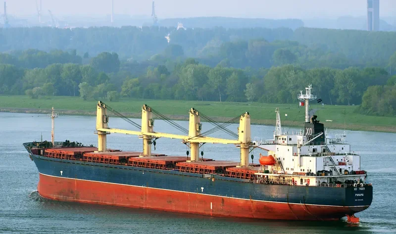 LUCENT Bulk Carrier IMO 9142215 photo 7