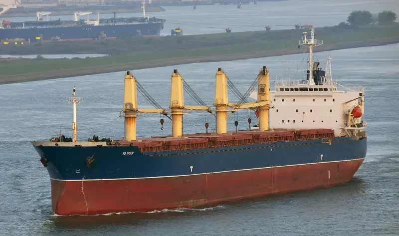 LUCENT Bulk Carrier IMO 9142215 photo 9