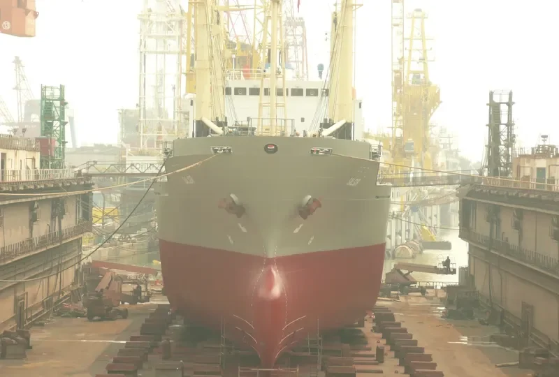 SALGIR General Cargo IMO 9142289