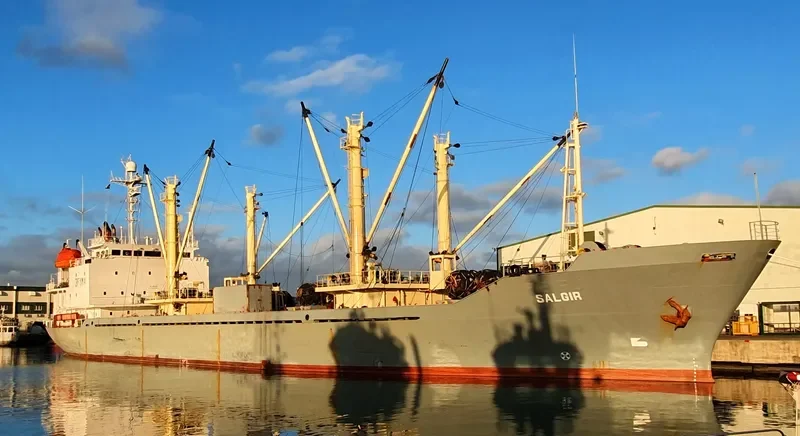 SALGIR General Cargo IMO 9142289 photo 8