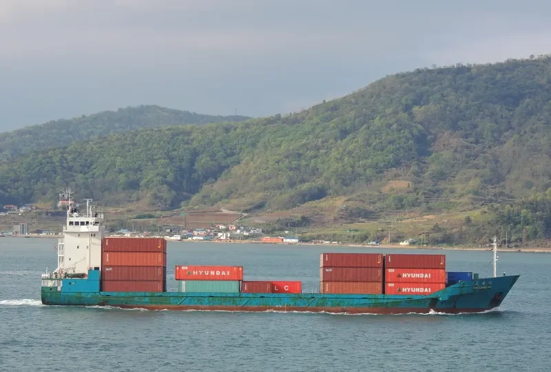 TAI CANG HU 1 General Cargo IMO 9142423 photo 4