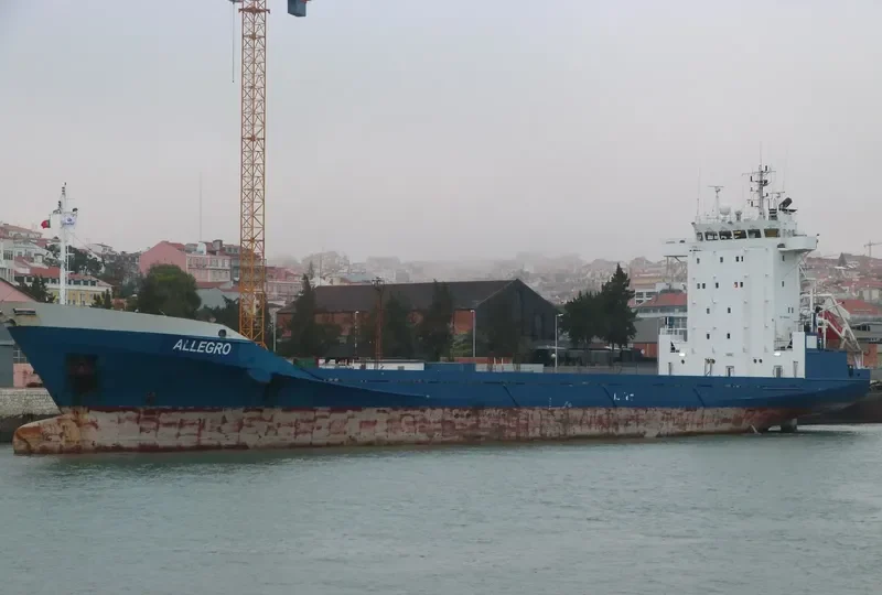 ALLEGRO Container Ship IMO 9142447 photo 2
