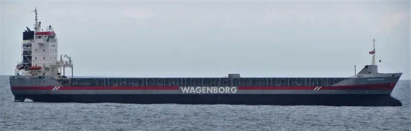 MEDEMBORG Container Ship IMO 9142514 photo 7