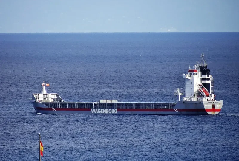 MERWEBORG Container Ship IMO 9142552