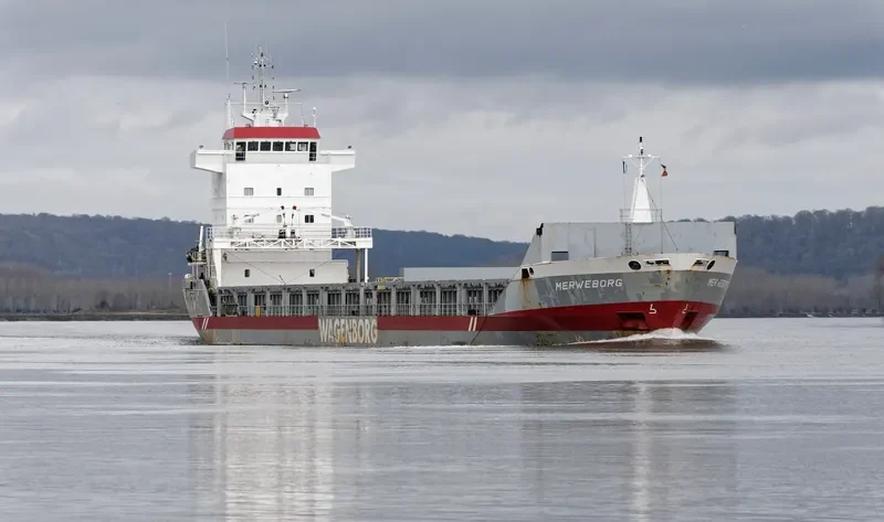 MERWEBORG Container Ship IMO 9142552 photo 5