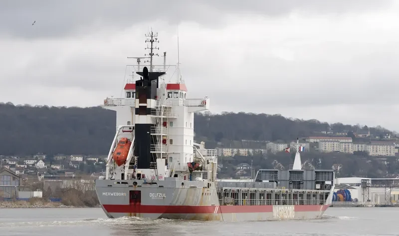 MERWEBORG Container Ship IMO 9142552 photo 7