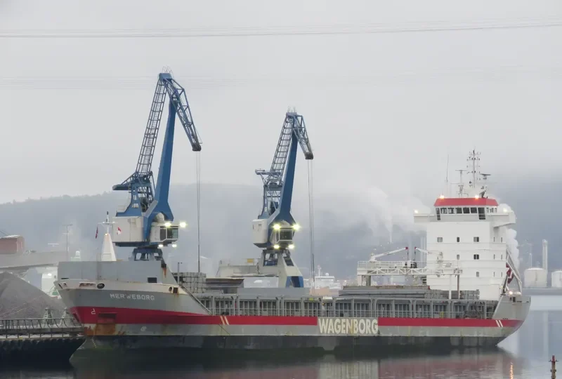 MERWEBORG Container Ship IMO 9142552 photo 8