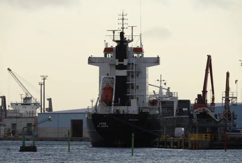 MANISA BELEN Container Ship IMO 9142564 photo 2