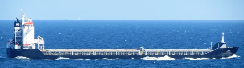 MANISA BELEN Container Ship IMO 9142564 photo 4