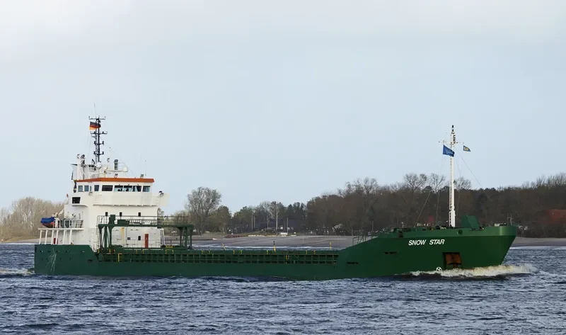 SNOW STARS General Cargo IMO 9142629 photo 4