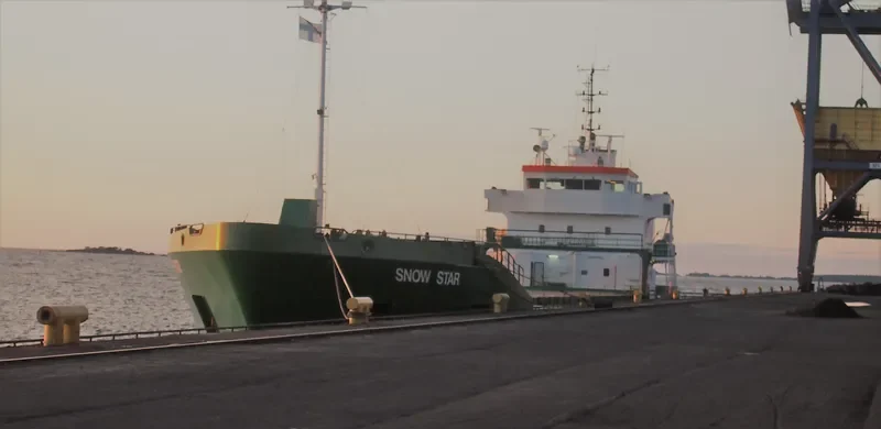 SNOW STARS General Cargo IMO 9142629 photo 8