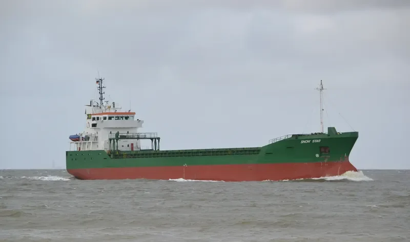 SNOW STARS General Cargo IMO 9142629 photo 9