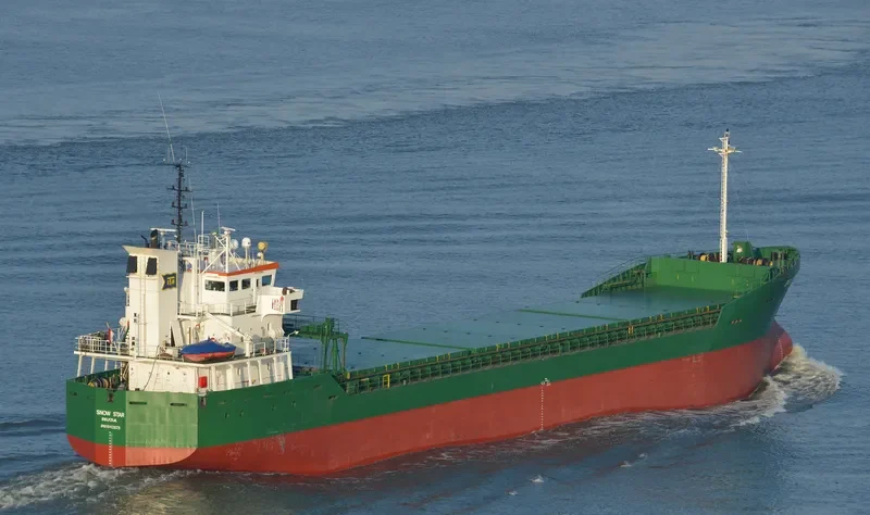 SNOW STARS General Cargo IMO 9142629 photo 10