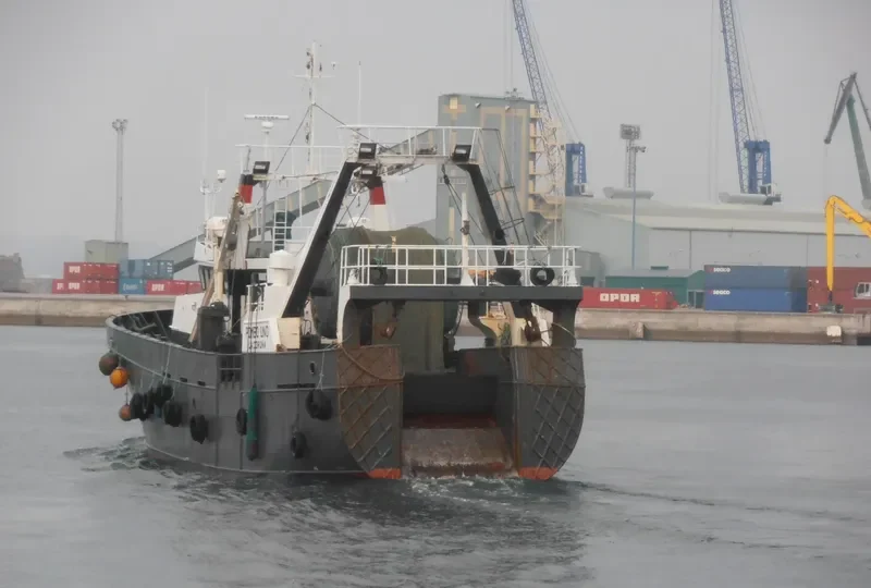 POMBO UNO General Cargo IMO 9142851 photo 4
