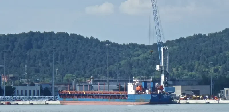 CHEYENNE General Cargo IMO 9142875 photo 2