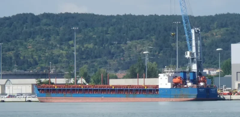 CHEYENNE General Cargo IMO 9142875 photo 3