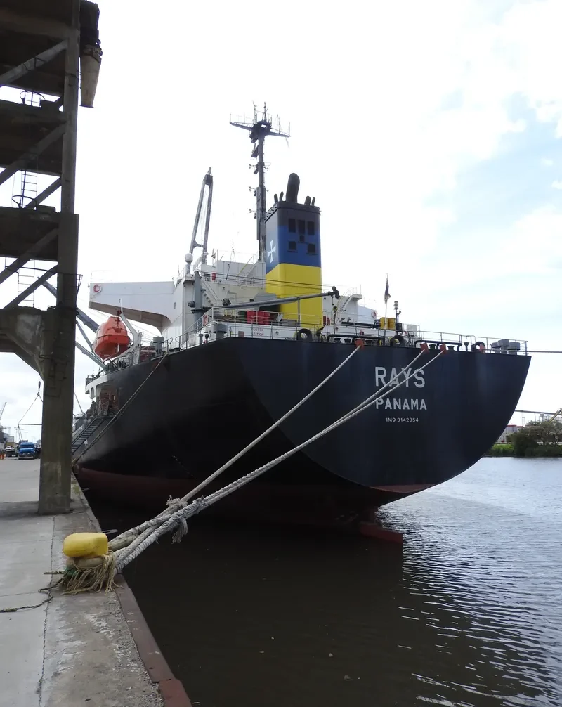 RAYS Bulk Carrier IMO 9142954 photo 2
