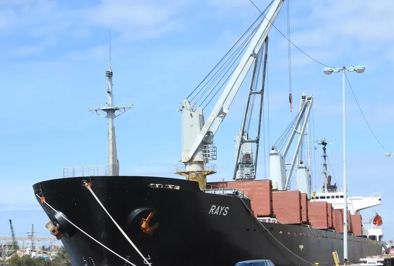 RAYS Bulk Carrier IMO 9142954 photo 3