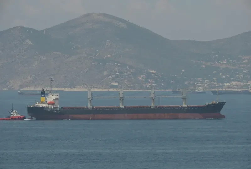 RAYS Bulk Carrier IMO 9142954 photo 4