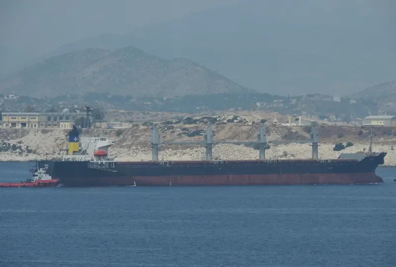 RAYS Bulk Carrier IMO 9142954 photo 5
