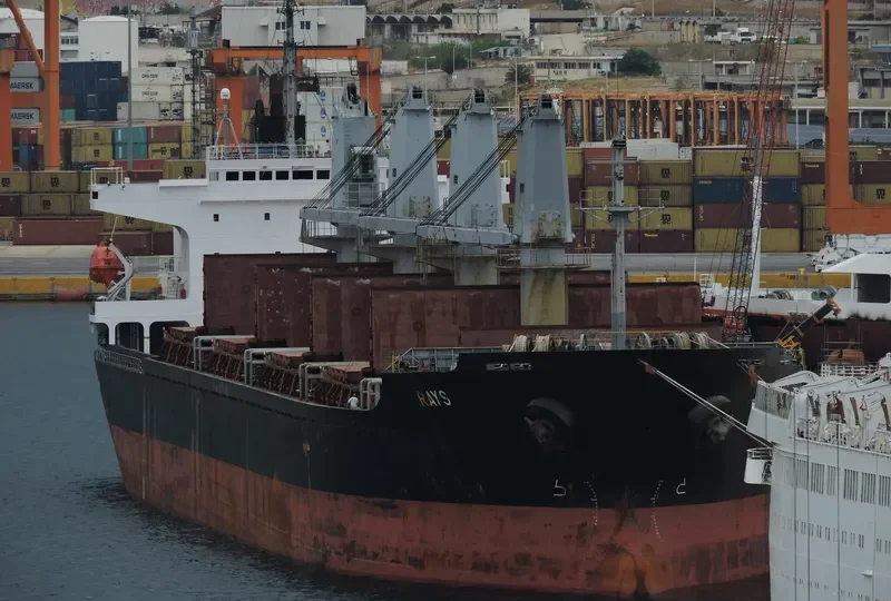 RAYS Bulk Carrier IMO 9142954 photo 6