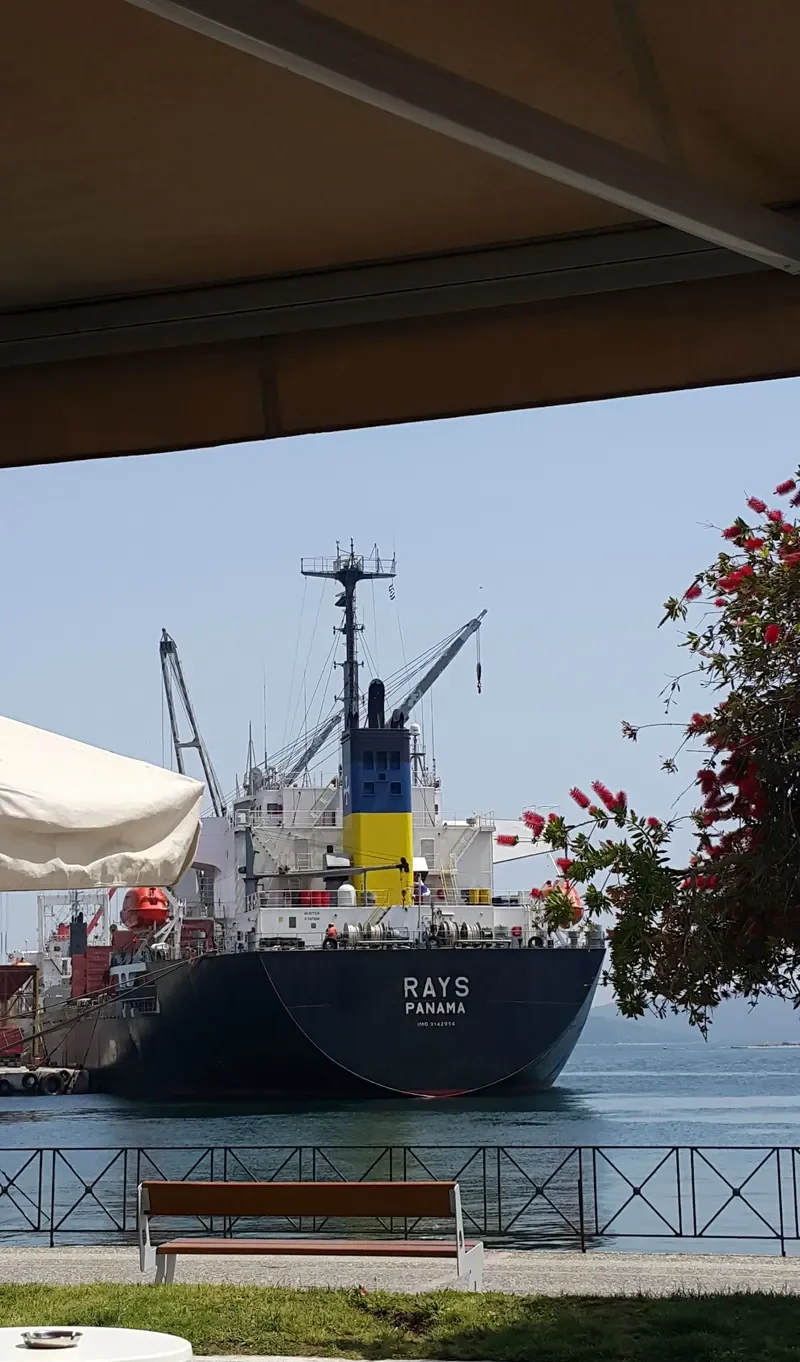 RAYS Bulk Carrier IMO 9142954 photo 8