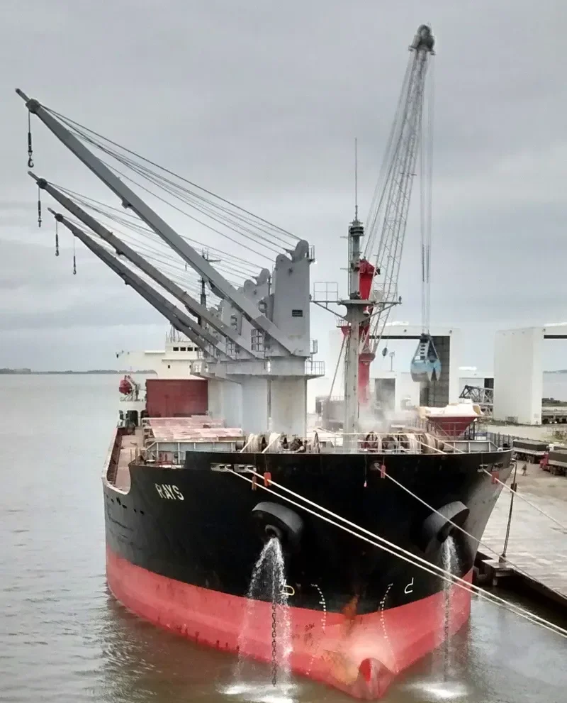 RAYS Bulk Carrier IMO 9142954 photo 9