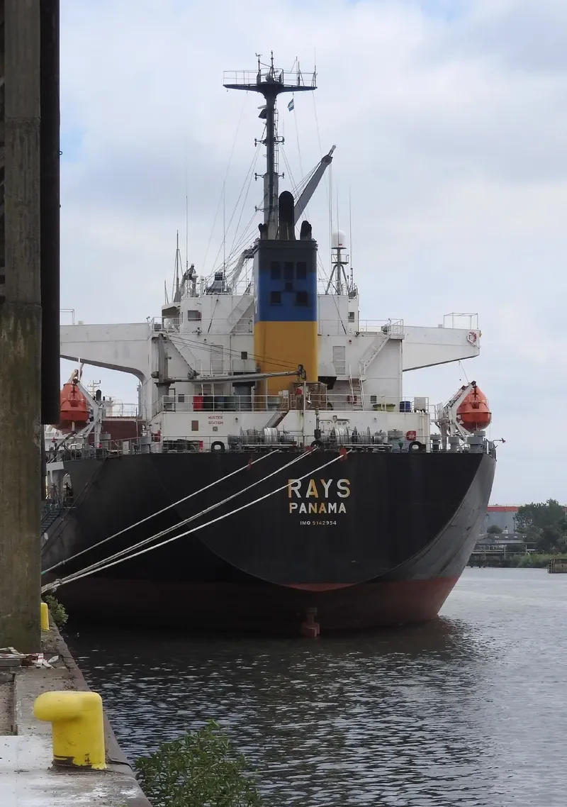 RAYS Bulk Carrier IMO 9142954 photo 10