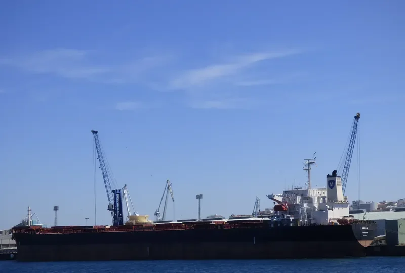 XING BAO Bulk Carrier IMO 9142978 photo 5