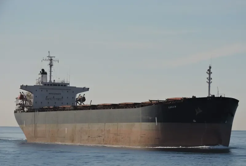 XING BAO Bulk Carrier IMO 9142978 photo 7