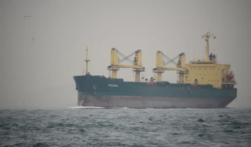 THEOXENIA Bulk Carrier IMO 9142980 photo 7