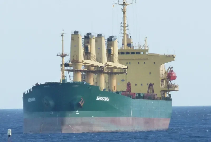 THEOXENIA Bulk Carrier IMO 9142980 photo 8