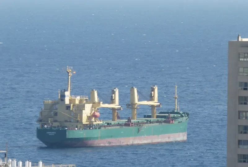 THEOXENIA Bulk Carrier IMO 9142980 photo 9