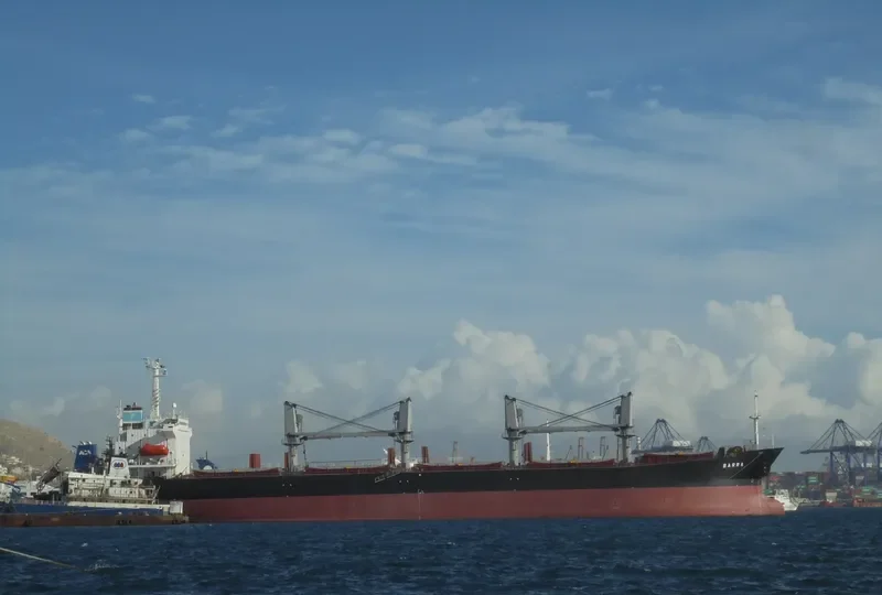 BARRA Bulk Carrier IMO 9142992 photo 7