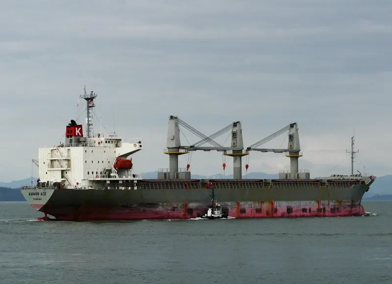 VTB ACE General Cargo IMO 9143049
