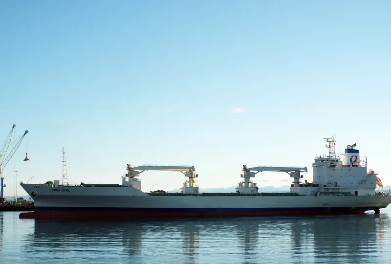 BALTIC PURPLE General Cargo IMO 9143099 photo 6
