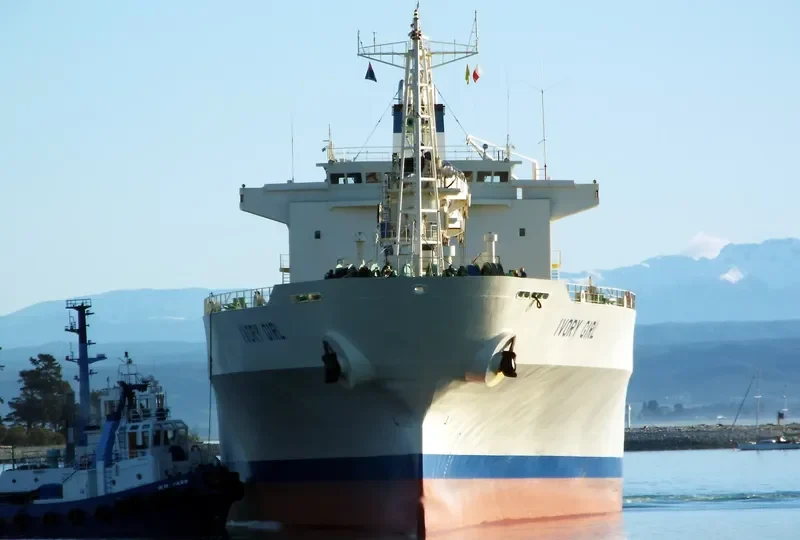 BALTIC PURPLE General Cargo IMO 9143099 photo 7
