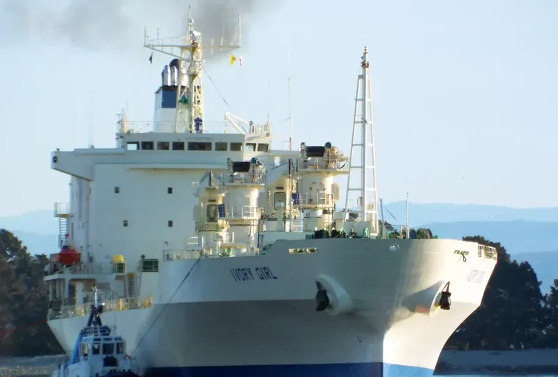 BALTIC PURPLE General Cargo IMO 9143099 photo 8