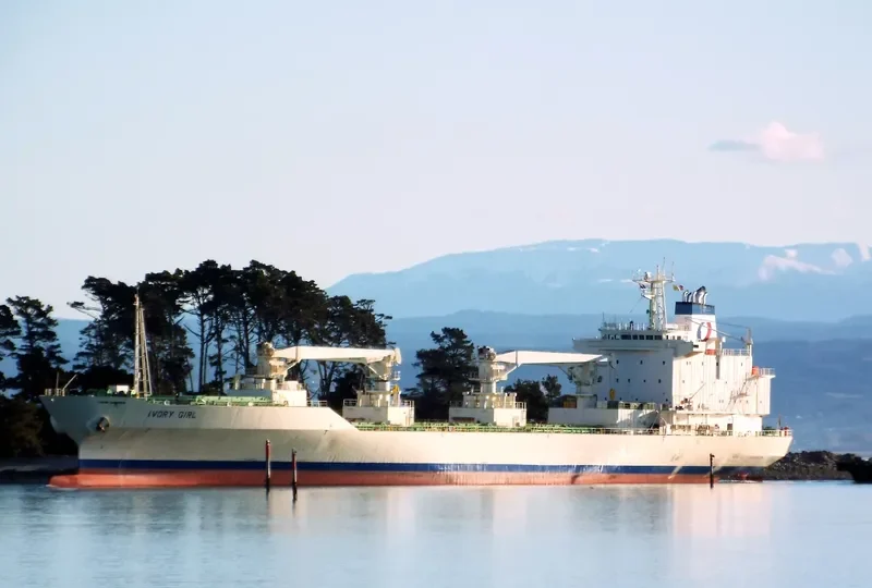 BALTIC PURPLE General Cargo IMO 9143099 photo 9