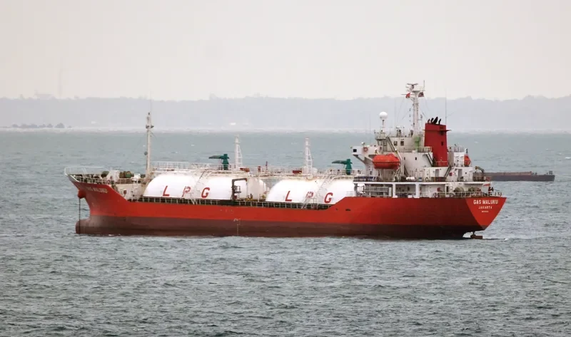 GAS MALUKU General Cargo IMO 9143154 photo 3